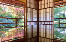 Tuyi Group Japan Co., Ltd.10