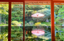 Tuyi Group Japan Co., Ltd.11