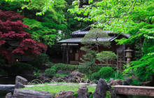 Tuyi Group Japan Co., Ltd.1