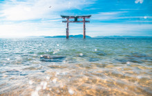 Tuyi Group Japan Co., Ltd.13