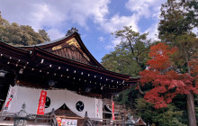 Tuyi Group Japan Co., Ltd.15