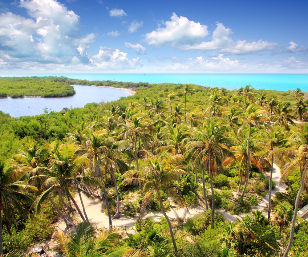 Full Day Nature Expedition to Contoy Island and Isla Mujeres