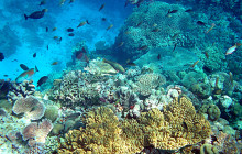 Pescado Adventures19