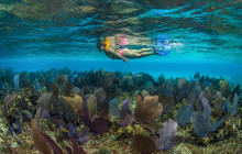 Pescado Adventures14