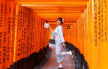 Tuyi Group Japan Co., Ltd.1