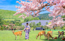 Tuyi Group Japan Co., Ltd.4