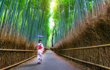 Tuyi Group Japan Co., Ltd.7