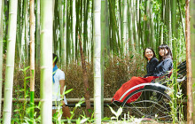 Tuyi Group Japan Co., Ltd.8