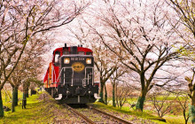 Tuyi Group Japan Co., Ltd.9