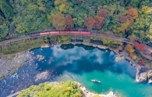 Tuyi Group Japan Co., Ltd.10