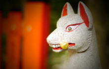 Tuyi Group Japan Co., Ltd.14