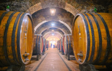 Ciao Florence Tours and Travels Srl14