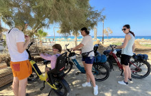 Aurelia e-assist Bikes1