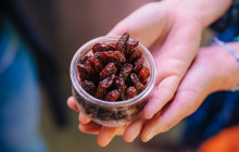 Do Eat Better Experience5