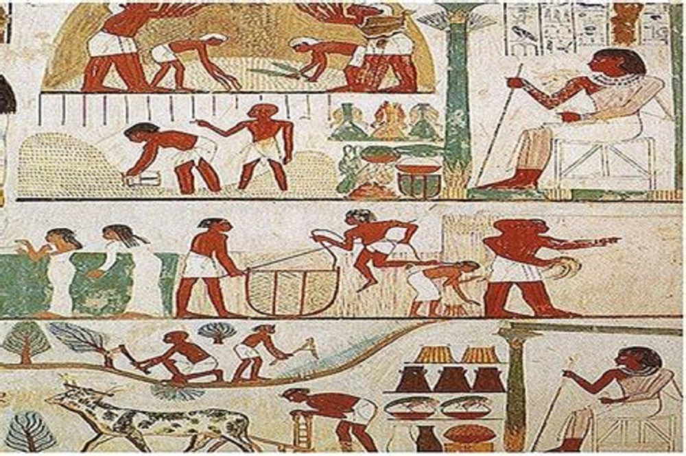 Egypt Gift Tours