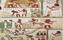 Egypt Gift Tours20