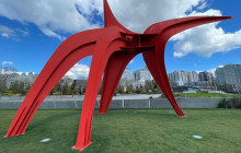Customized Tours of Seattle17