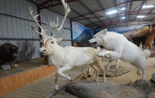 Let Me Show You London17