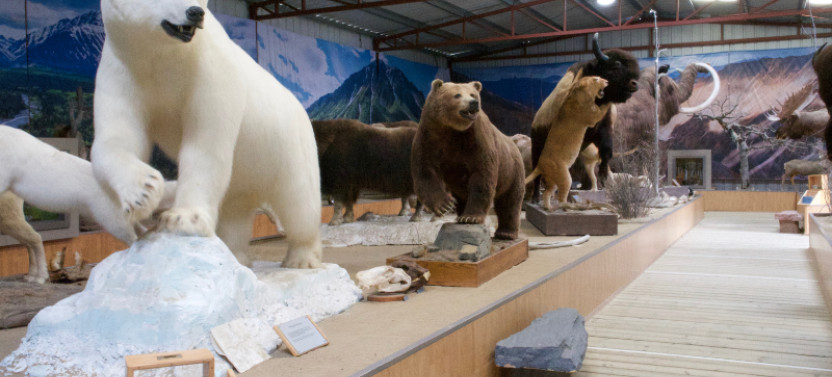 The Wildlife Museum and Royal Canadian Mounted Police Museum Admission