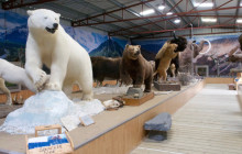 Let Me Show You London3