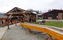 Let Me Show You London19