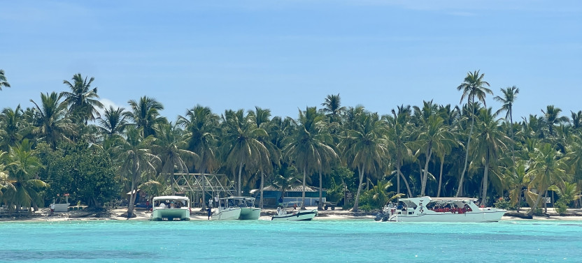 Ultimate Tropical Getaway: Saona Island Tour with Lunch