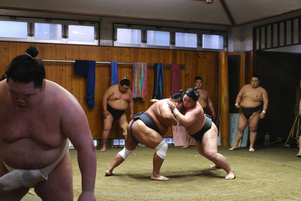 Premium Professional Morning Sumo Practice Viewing at a Stable in Asakusa