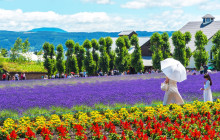 Tuyi Group Japan Co., Ltd.7