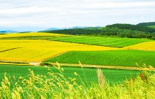 Tuyi Group Japan Co., Ltd.8