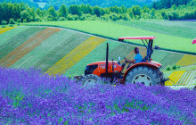 Tuyi Group Japan Co., Ltd.12