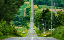 Tuyi Group Japan Co., Ltd.13