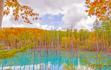 Tuyi Group Japan Co., Ltd.14