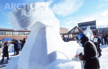 Bali Ari Tour & Driver4