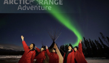 A picture of 4-Day Aurora Viewing & Wildlife Photography Tour in Whitehorse Yukon