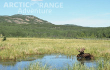 Bali Ari Tour & Driver4