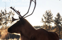 Bali Ari Tour & Driver5