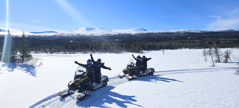 Full-Day Arctic Snowmobile Safari in the Yukon Wilderness