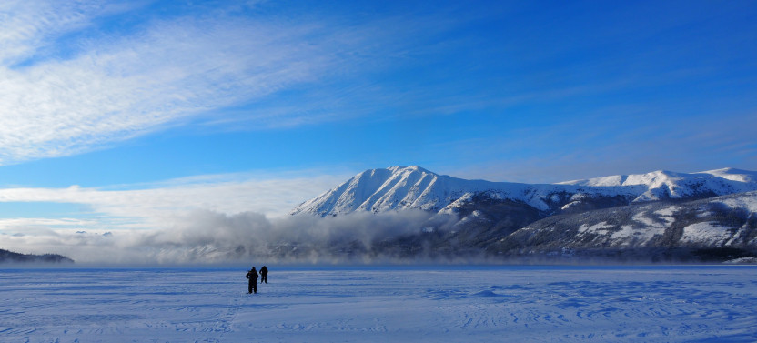 Half-Day Arctic Kicksledding Adventure in Yukon Winter Wilderness