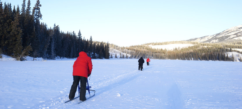 Half-Day Arctic Kicksledding Adventure in Yukon Winter Wilderness