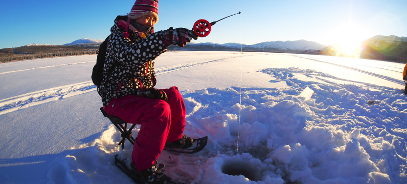 Half-Day Arctic Ice Fishing & Snowshoeing Adventure in Yukon