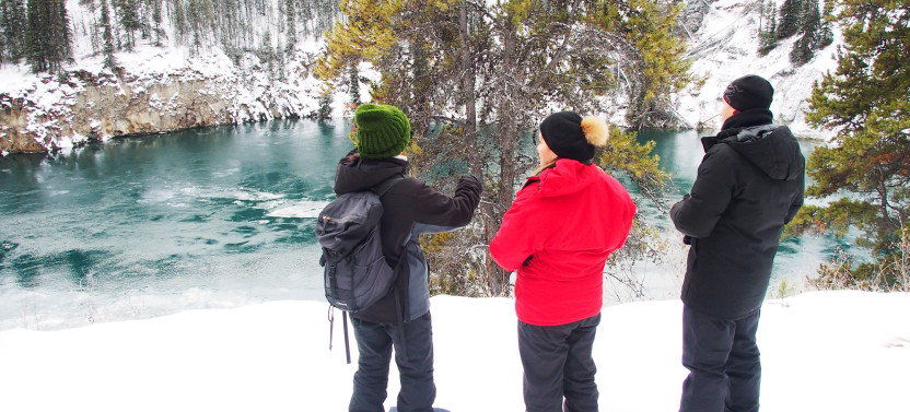 Half-Day Guided Snowshoeing Adventure in Yukon Wilderness
