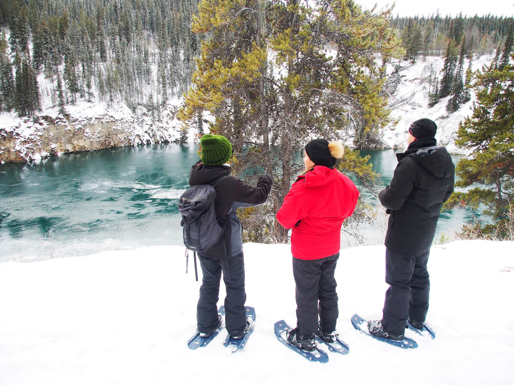 Half-Day Guided Snowshoeing Adventure in Yukon Wilderness
