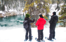 Arctic Range Adventure1