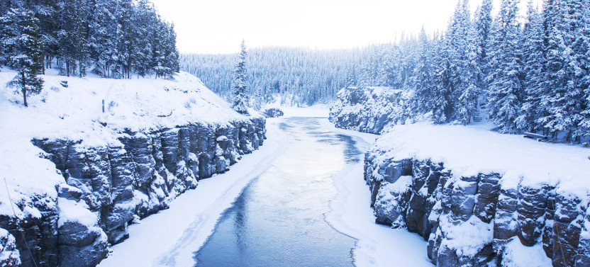 Half-Day Guided Snowshoeing Adventure in Yukon Wilderness