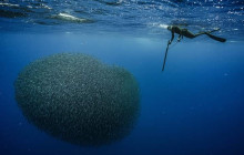 Azores Islands Experience11