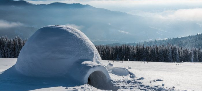 5-Day Arctic Winter Survival Course With Shelter Overnight in Yukon