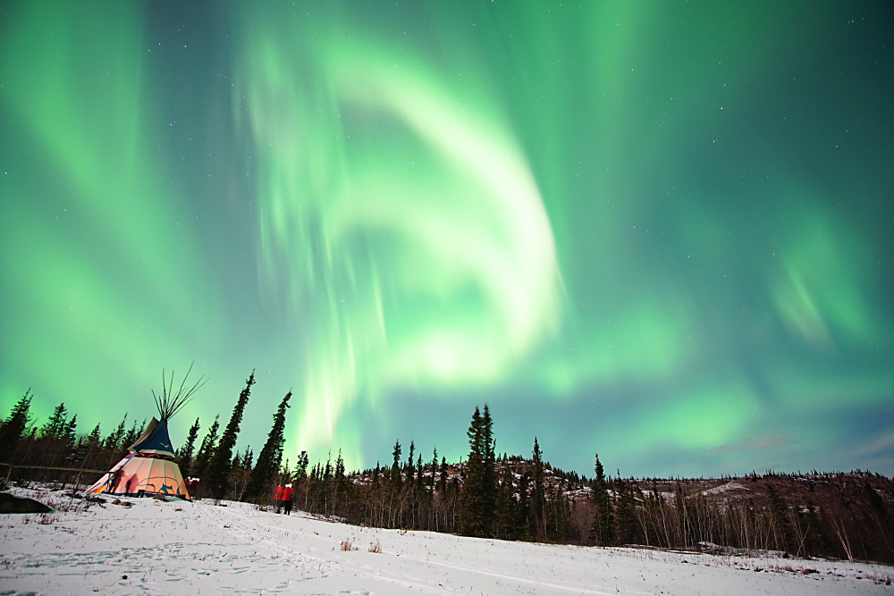 4-Day Aurora Viewing With Wildlife Preserve & Hot Springs in Yukon