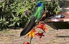 Medellin City Services2