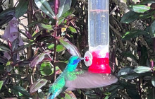 Medellin City Services3