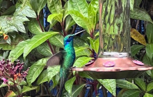 Medellin City Services4